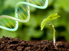 زیست فناوری